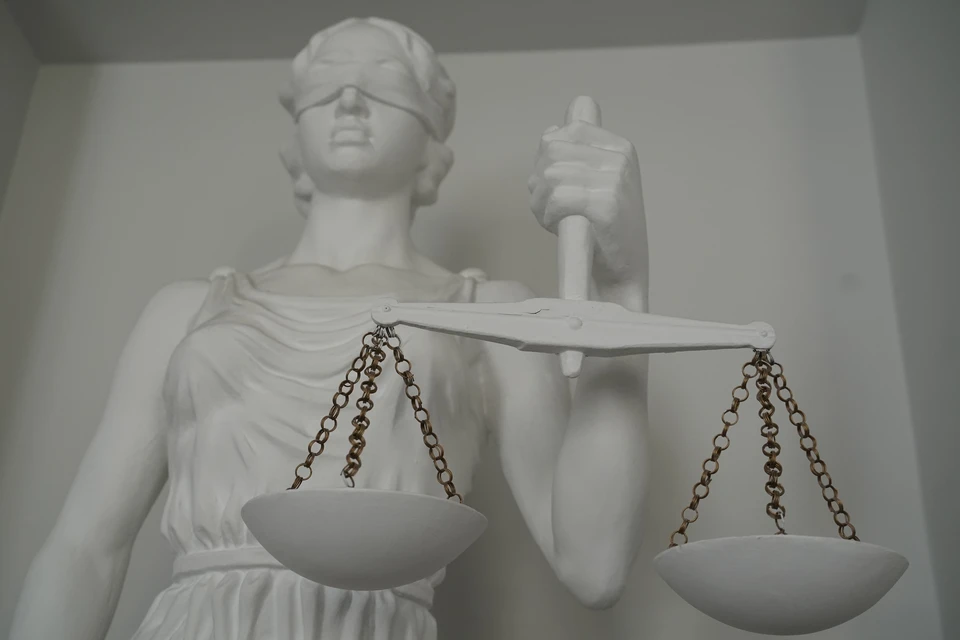 Дело будет рассмотрено в Советском районном суде Рязани.