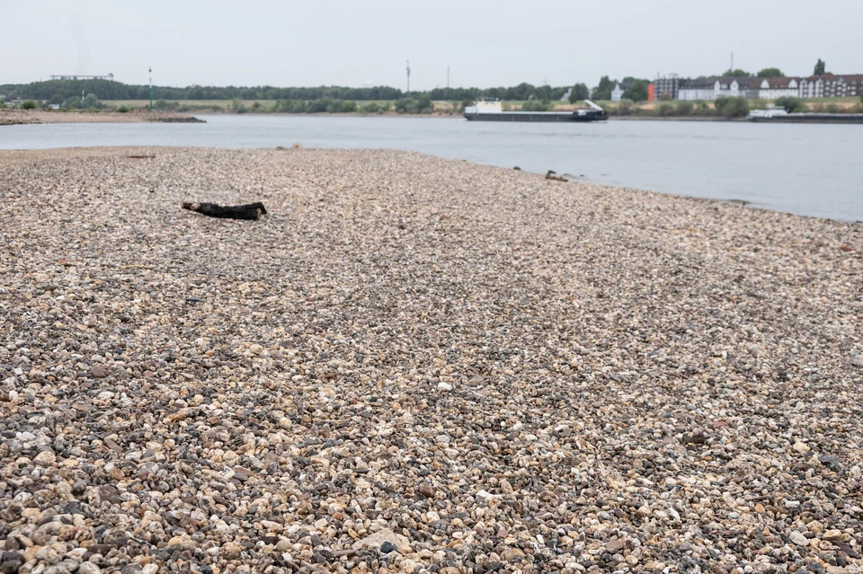 FT: Германия останавливает производство из-за пересыхания реки Рейн. Фото: Malte Ossowski/SVEN SIMON/GLOBAL LOOK PRESS