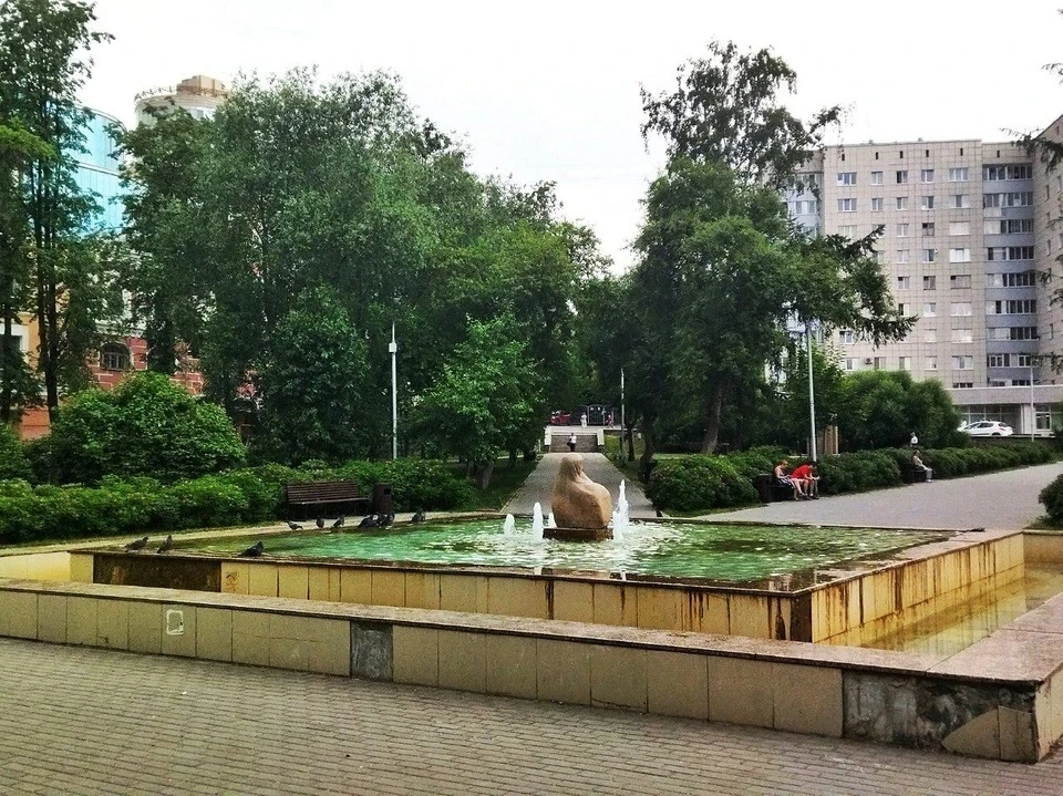 Фото: Соня Шишкина