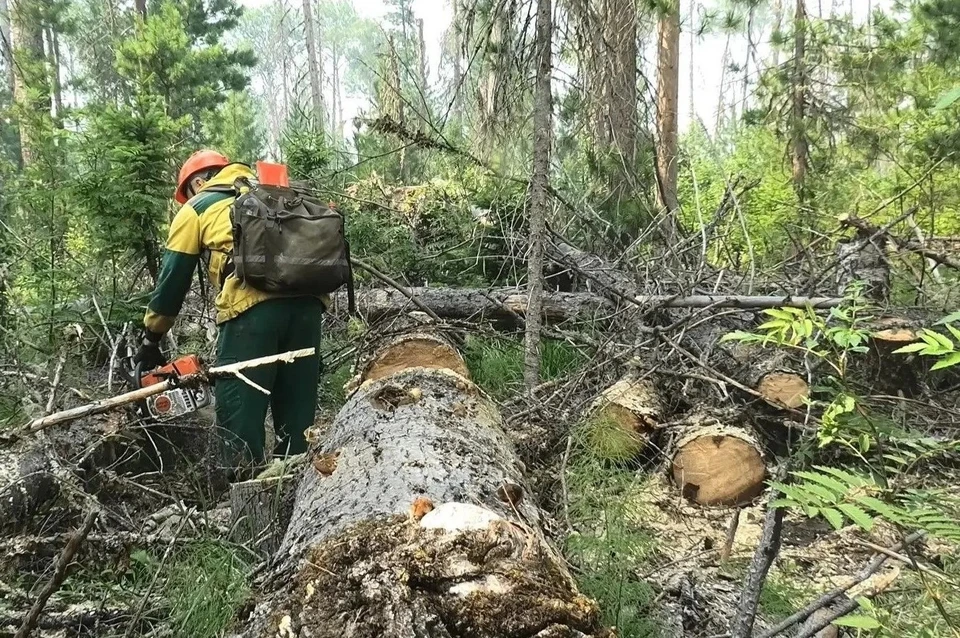 За прошедшие сутки в регионе ликвидировано 8 лесных пожаров. Фото: Федеральная Авиалесоохрана