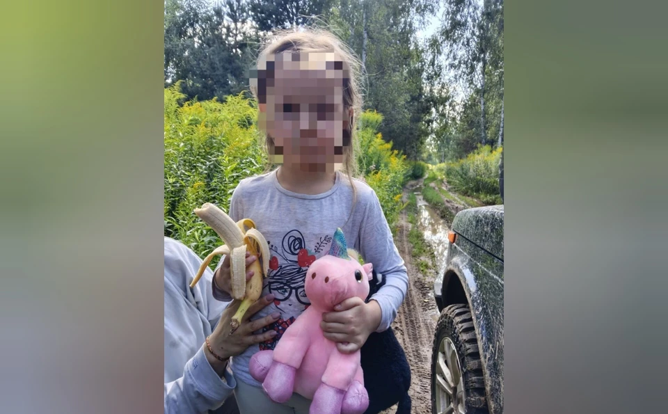 Волонтеры спасли 5-летнюю девочку, потерявшуюся в лесу Нижегородской области. Фото: ПСО "Волонтер"