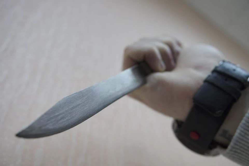 К 9,5 годам колонии за убийство приговорили мужчину в Алексине Тульской области