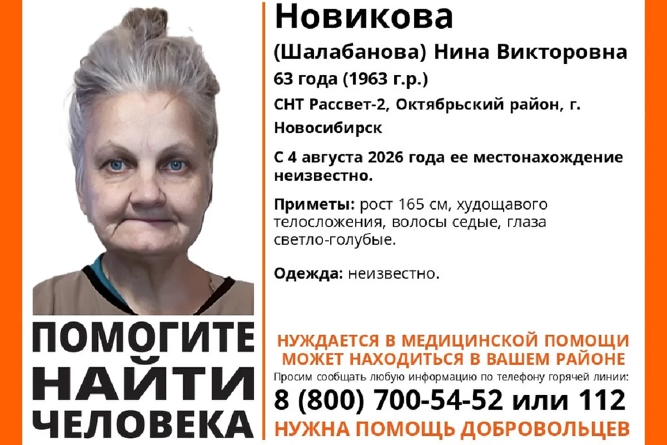 Женщина пропала с территории садоводческого товарищества. Фото: поисковый отряд «ЛизаАлерт» Новосибирской области
