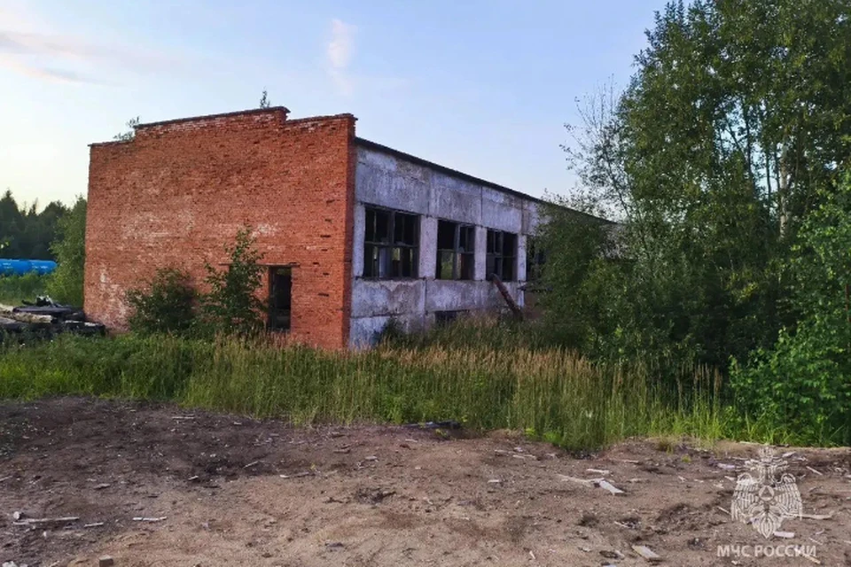 Огонь потушили очевидцы. Фото: МЧС Удмуртии