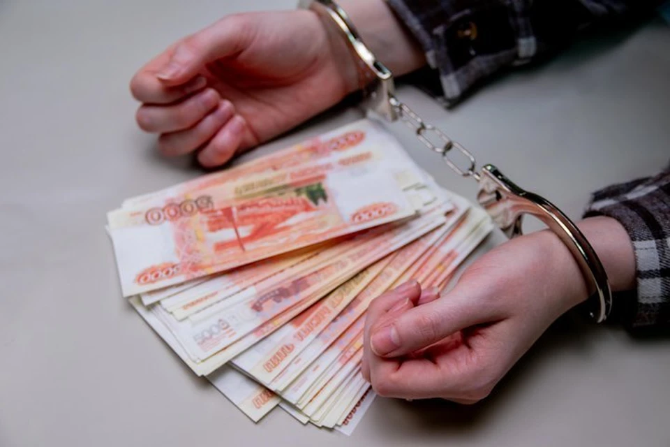 Девушке грозит до 2 лет колонии