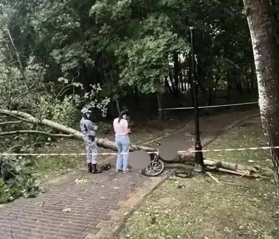 Фото: Прокуратура Смоленской области.