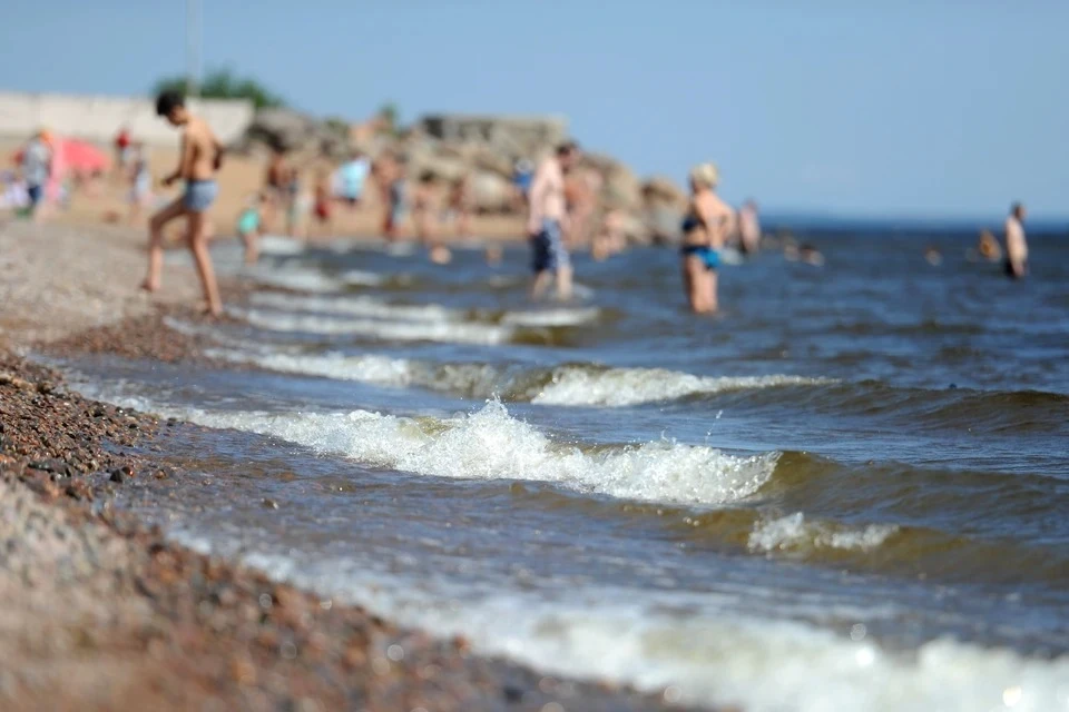 Гастроэнтеролог Осадчук: кукуруза и пахлава могут стать источником отравления