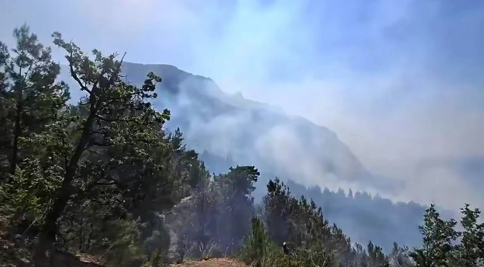 Кадр видео из соцсетей Михаила Развожаева