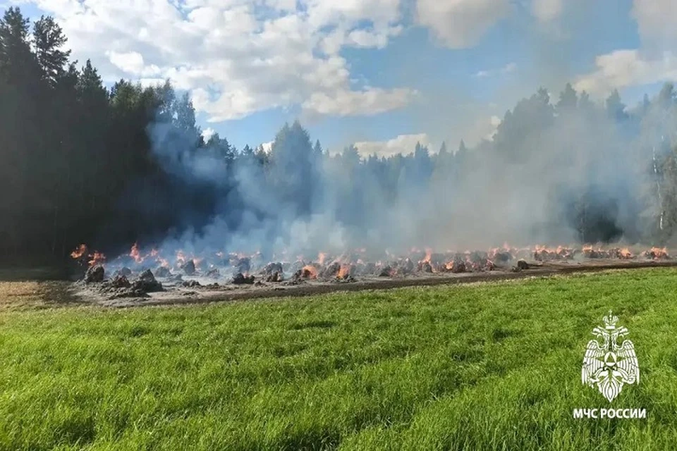 Причины пожаров установят спасатели.