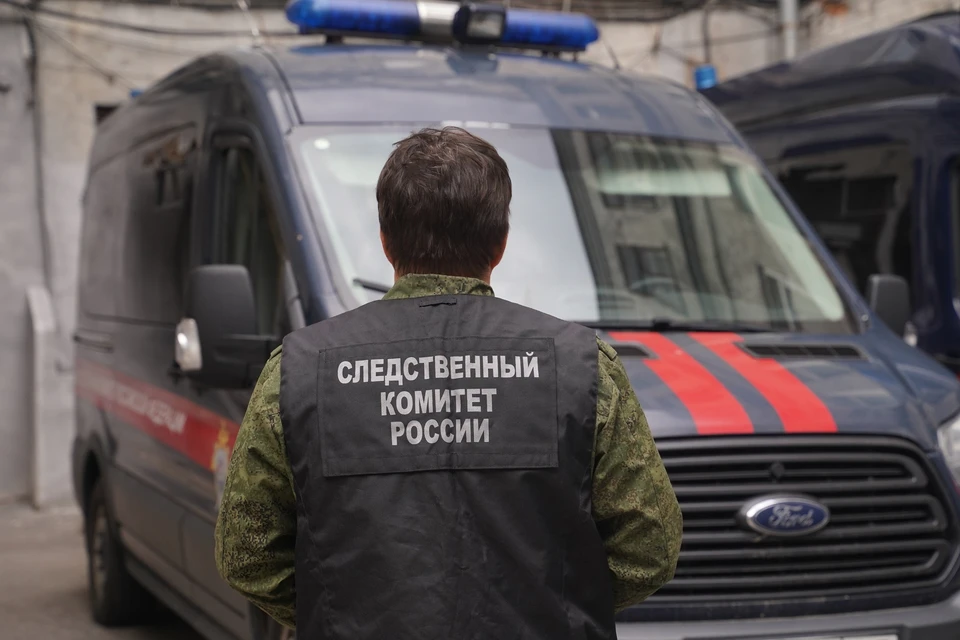 Сейчас проводятся необходимые следственные действия.