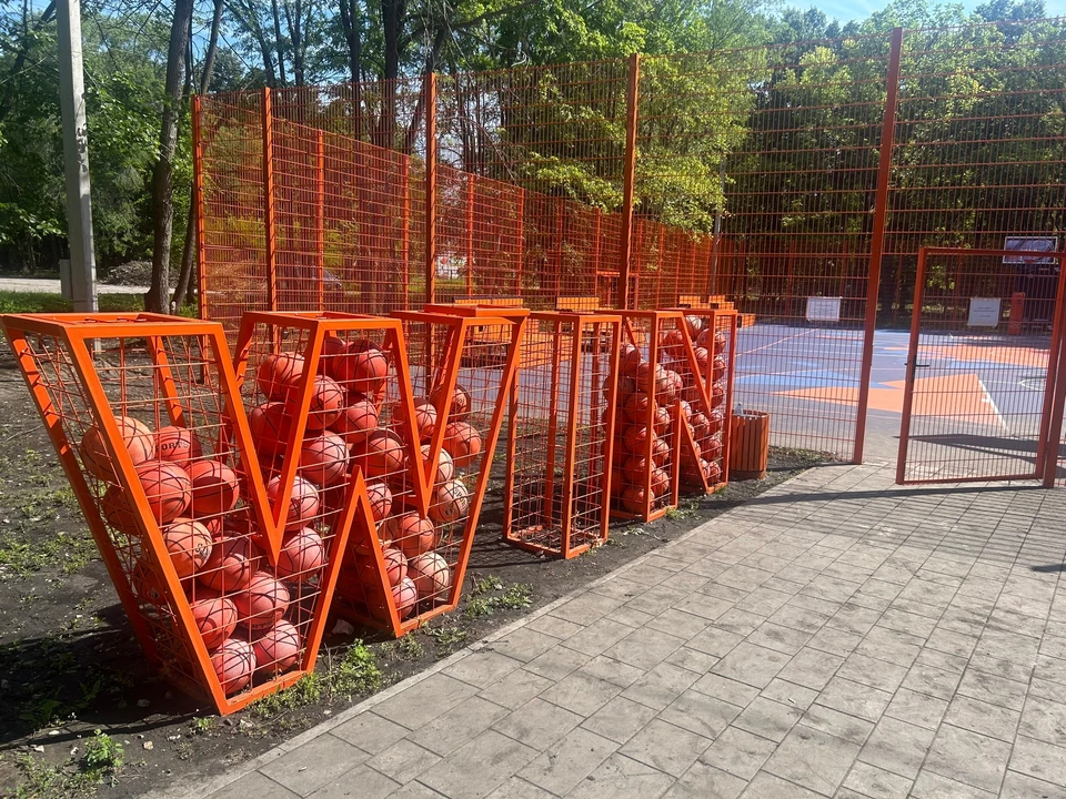 В Ульяновске на новой баскетбольной площадке украли мячи и сломали крепление | ФОТО: Федерация баскетбола Ульяновской области