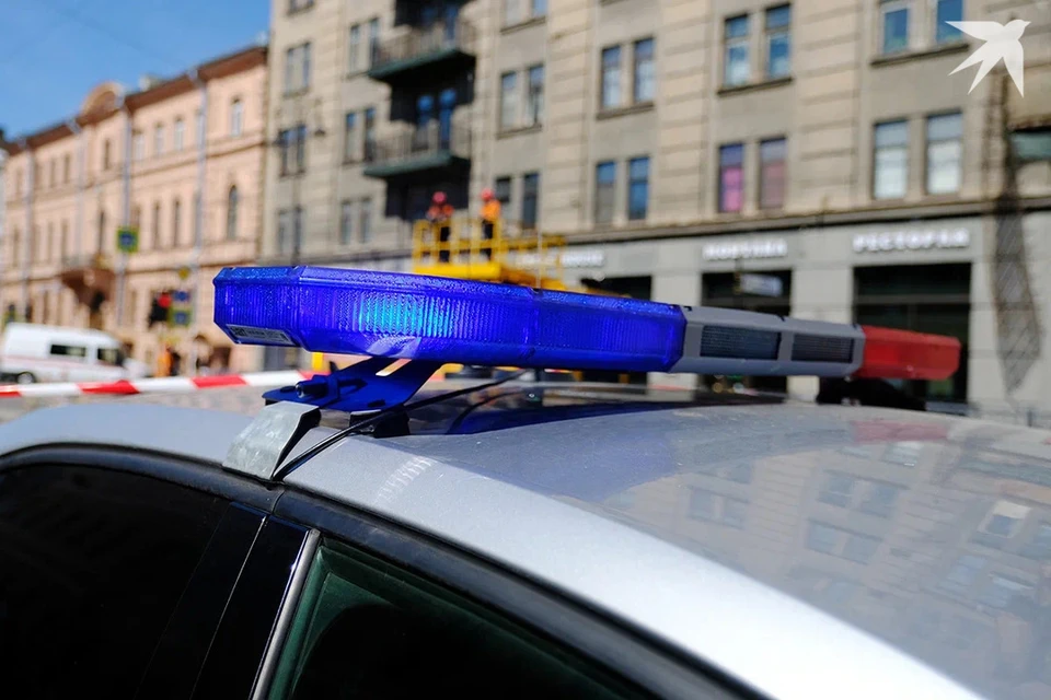 Жительница Минска позвонила в милицию, услышав скандал в одной из квартир. Снимок носит иллюстративный характер.