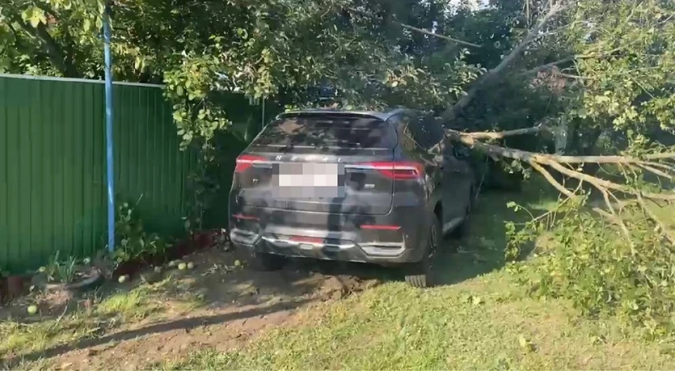Фото Госавтоинспекции Белгородской области