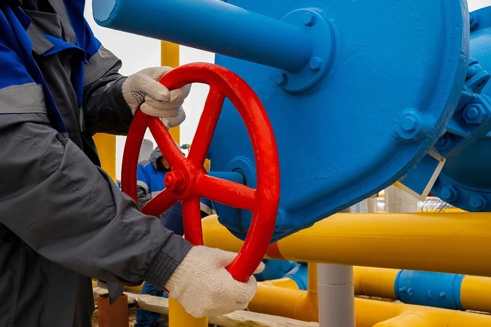 В Германии уровень заполненности газохранилищ упал до 49,68% Фото: A08 / Shutterstock / Fotodom