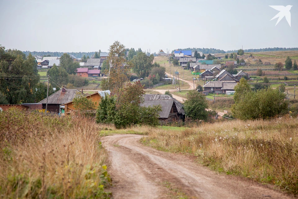 Многодетная семья Сенько из агрогородка Лошаны Минского района обратилась к президенту Беларуси через TikTok. Фото носит иллюстративный характер.