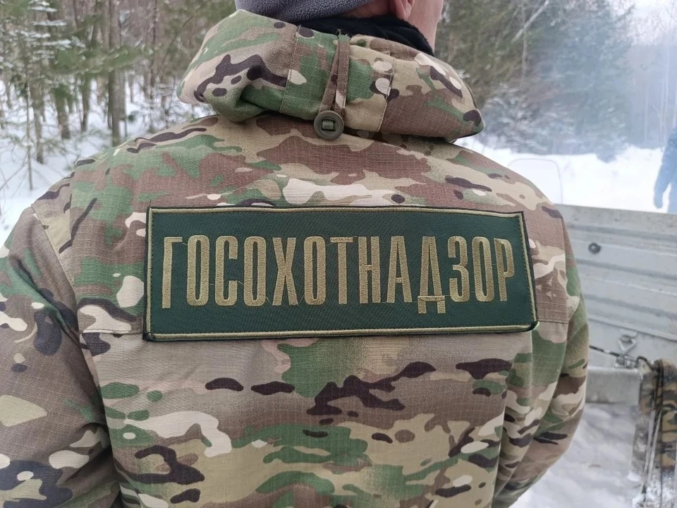 Фото: Екатерина Подпенко