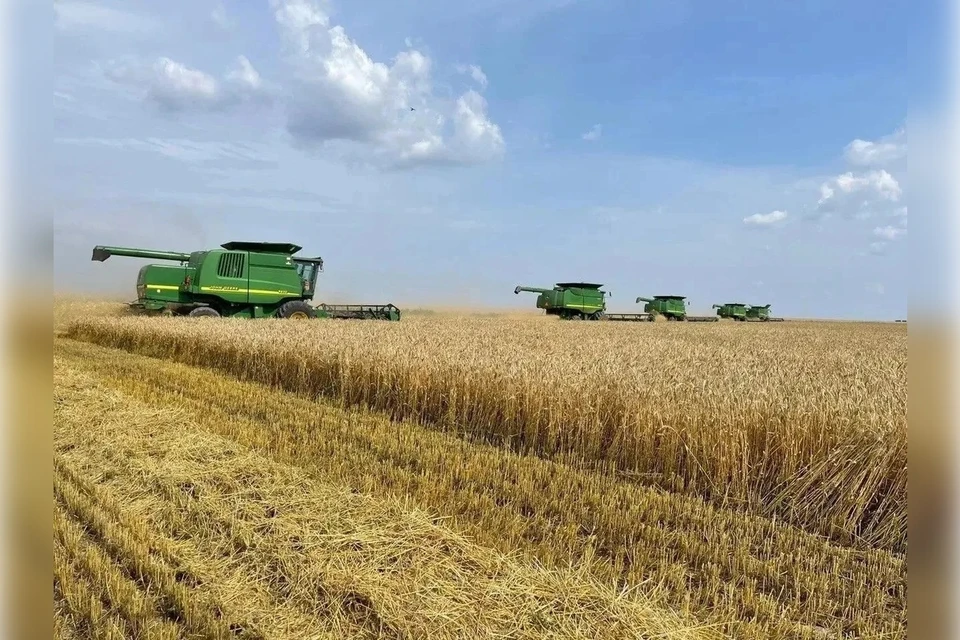 В Ивановском округе близится к завершению уборка урожая. Фото: Владимир Сальдо/МАХ