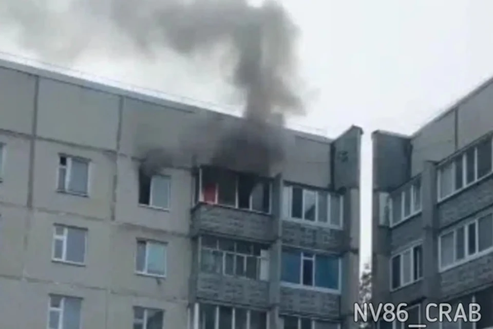 Фото: Типичный краб Нижневартовск