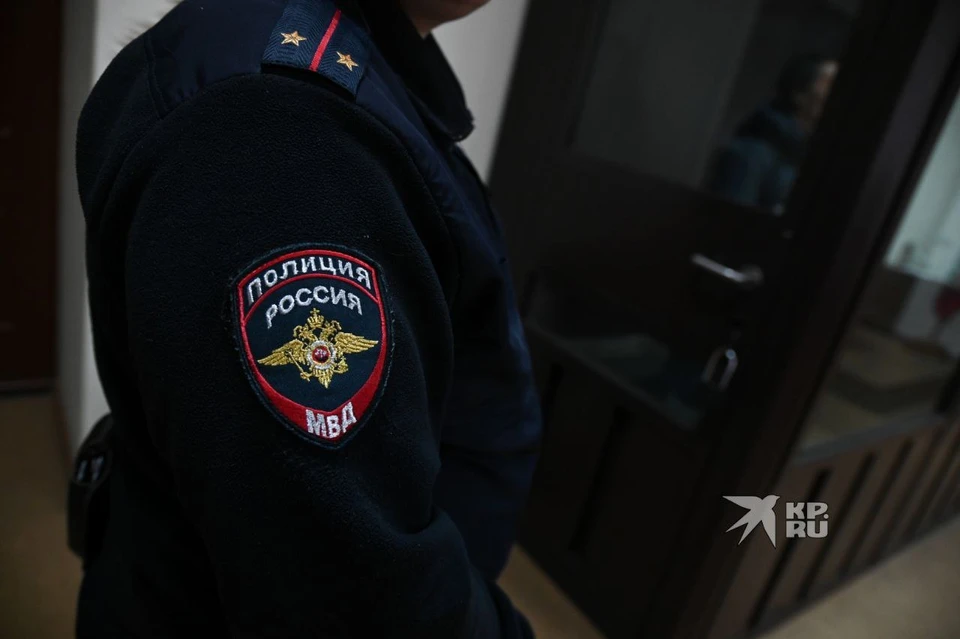 Полицейские поймали нарушителя в Ленинградской области