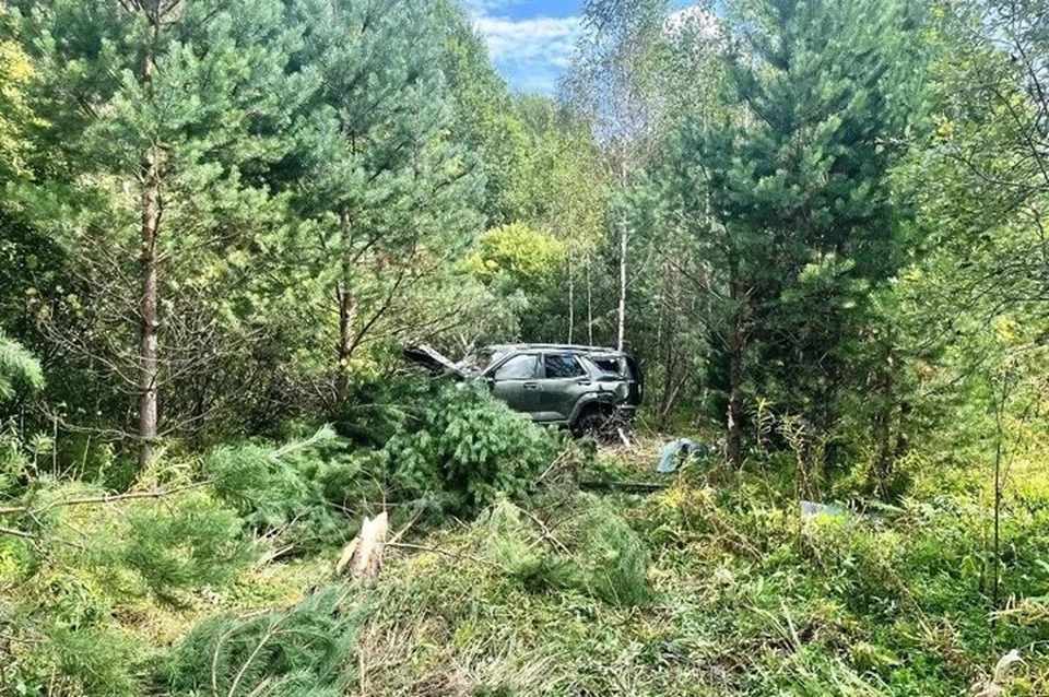 Фото: Госавтоинспекция Тюменской области