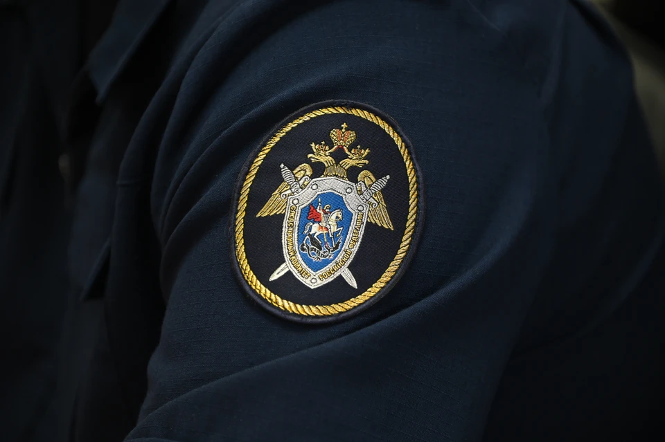 СК России установит причастных и даст уголовно-правовую оценку их действиям
