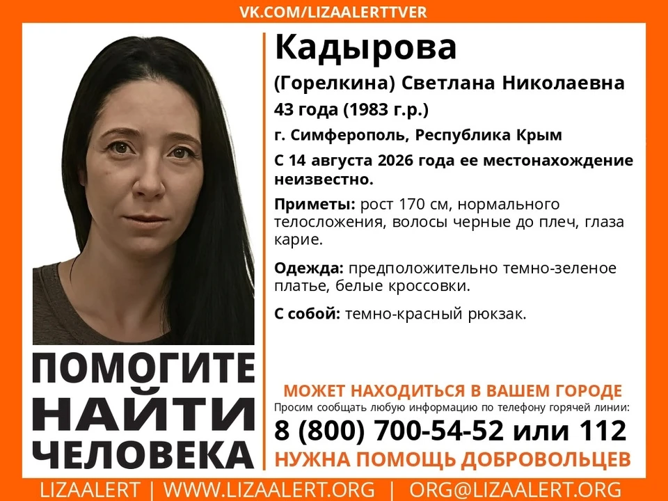 Поиски идут несколько дней. Баннер: ДПСО «ЛизаАлерт»