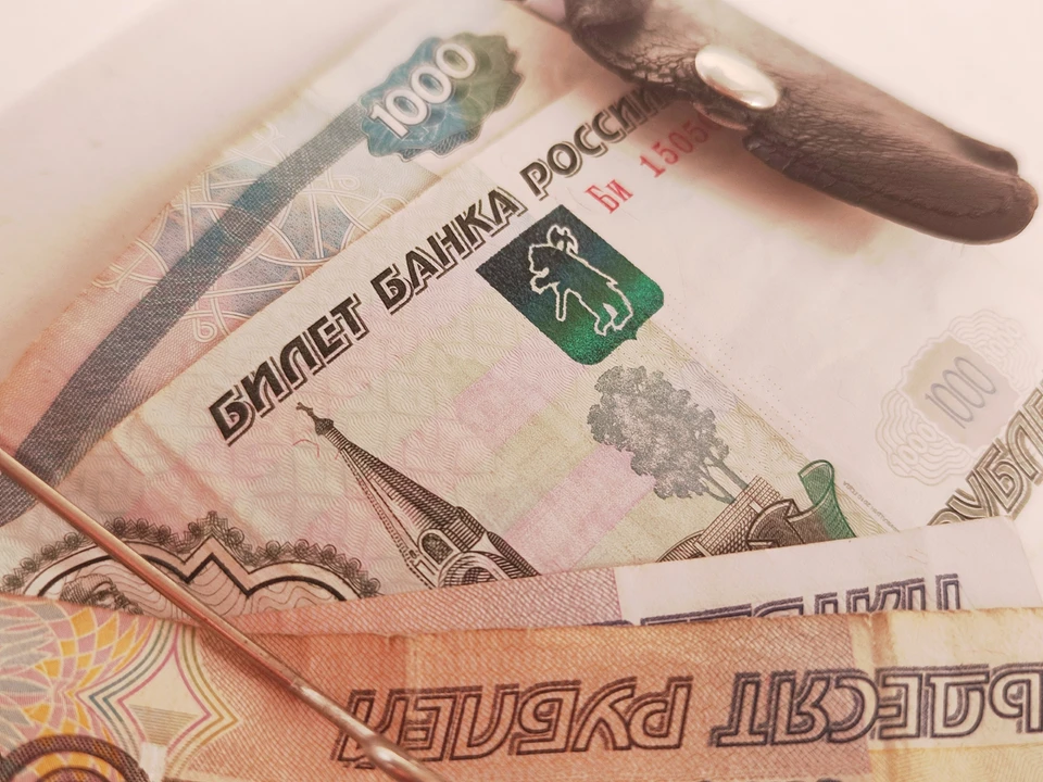 Как пояснили в минприроды, формальный отказ суда в иске связан с тем, что ответчик полностью погасил долг