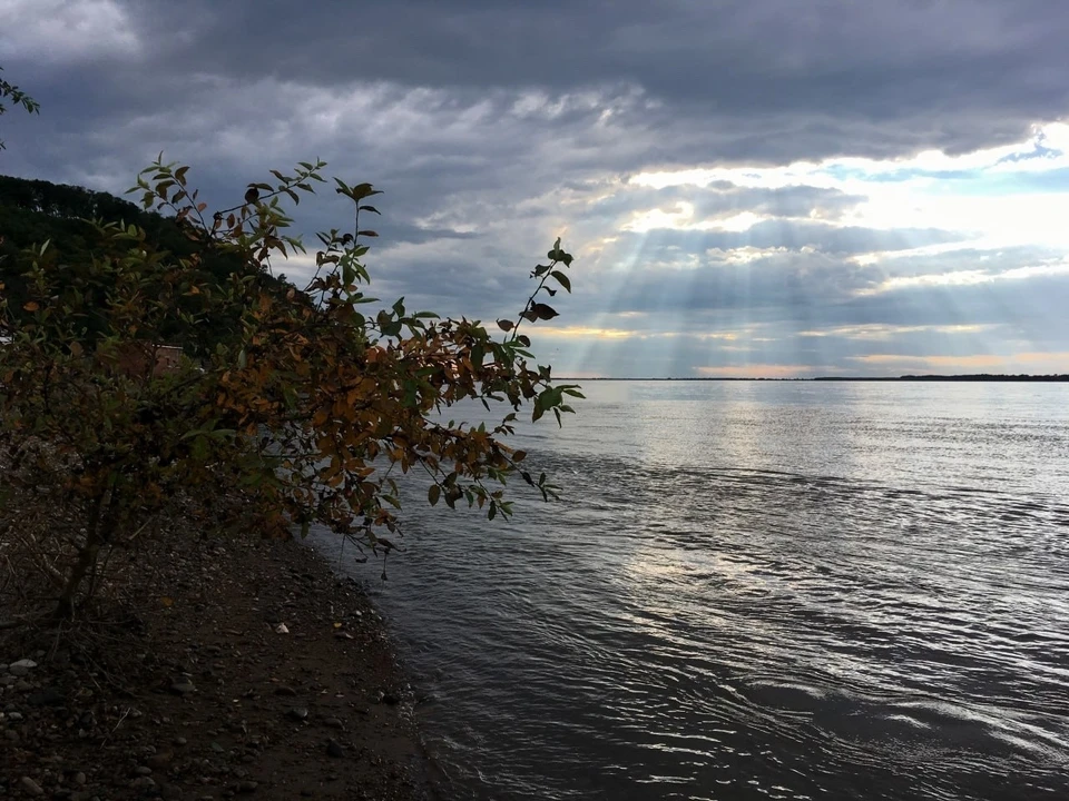 Фото: Борис Кокурин