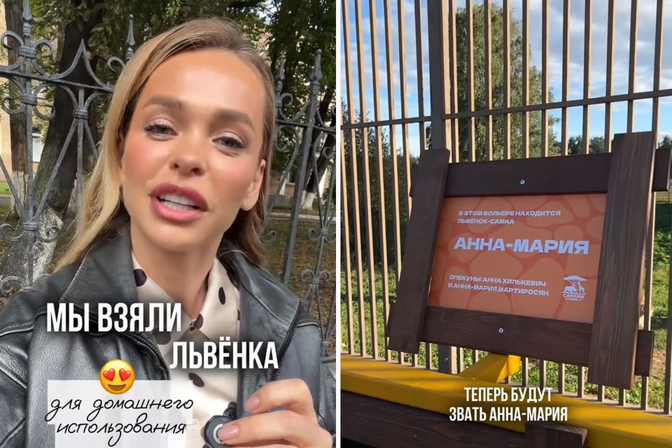 Актриса Анна Хилькевич ответила на возмущения из-за покупки львенка для дочери