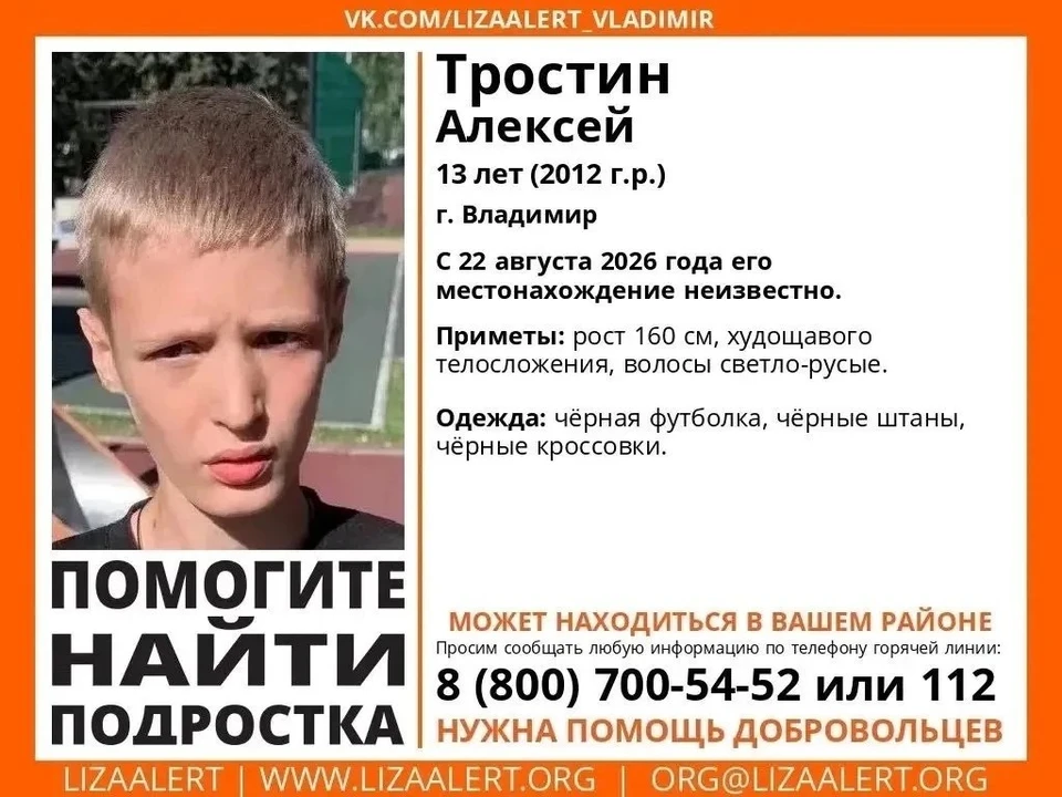 Фото: ПСО «Лиза Алерт» Владимирской области