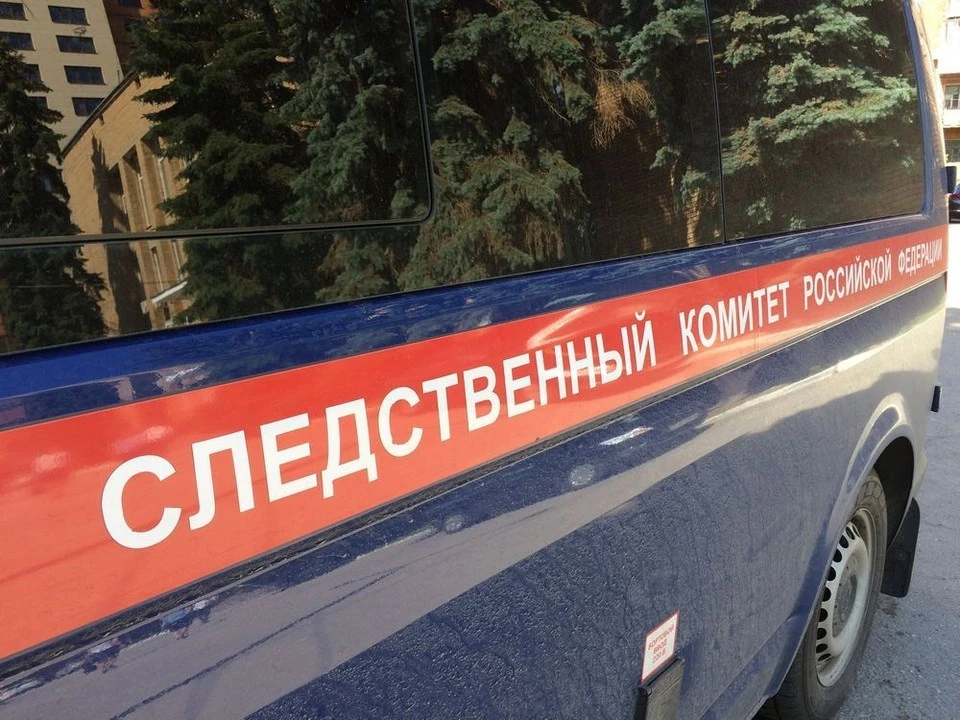 В Богородицке возбуждено уголовное дело после гибели ребенка при падении из окна.