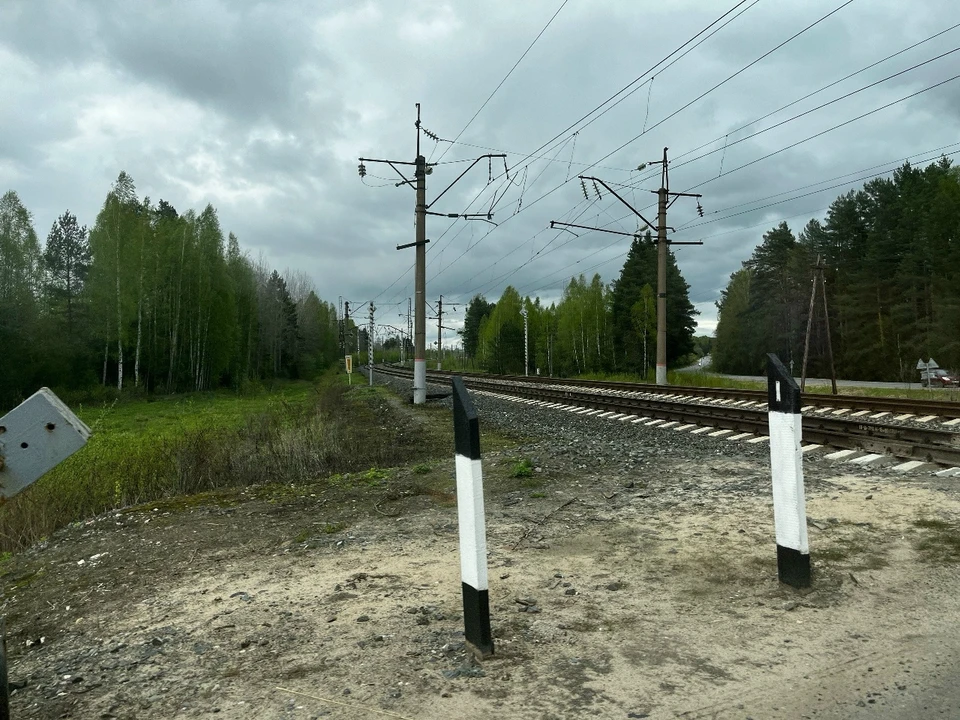 Фото: фотоархив портала "КП в Костроме"