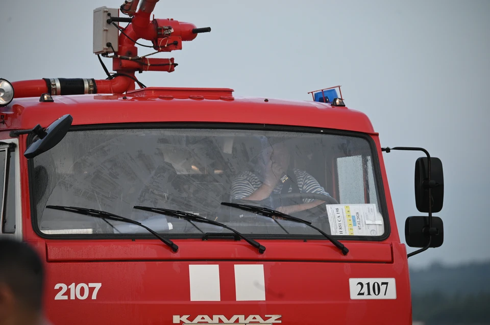 В огне погибли 24 голубя породы «Павлин» и три императорский удава.