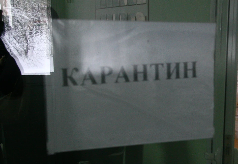 В поселке Лебедь на территории г.о. Кинель отменили ограничительные мероприятия по бешенству.