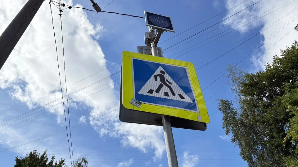 Фото: пресс-служба администрации города Костромы