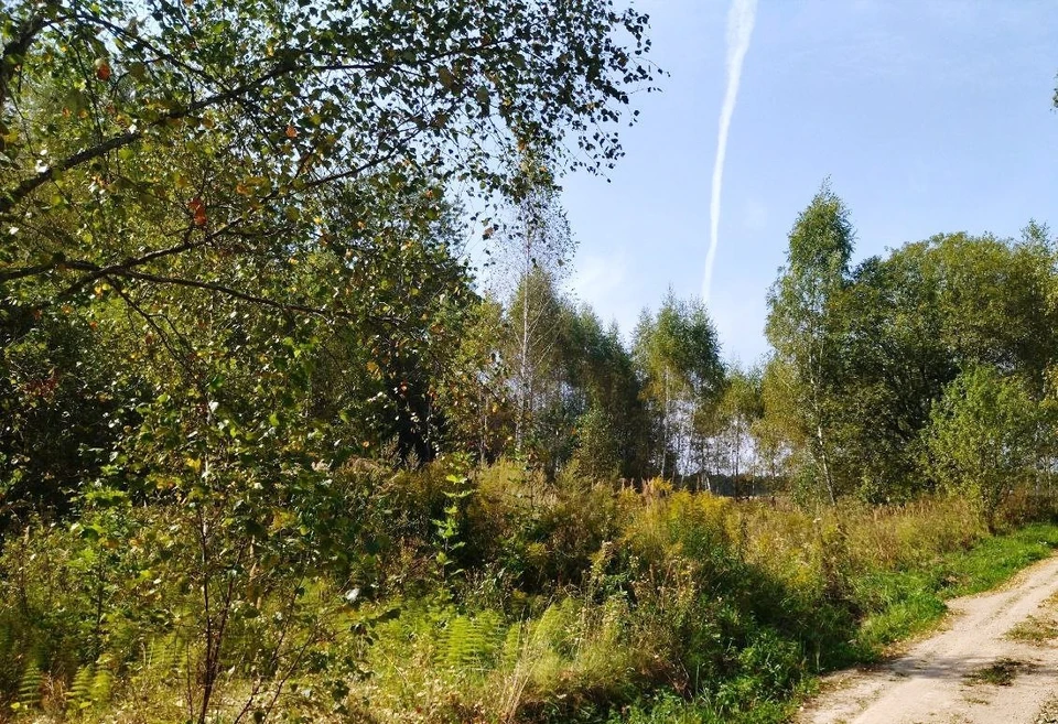 Силы ПВО отразили атаку трёх дронов в регионе 29 августа.