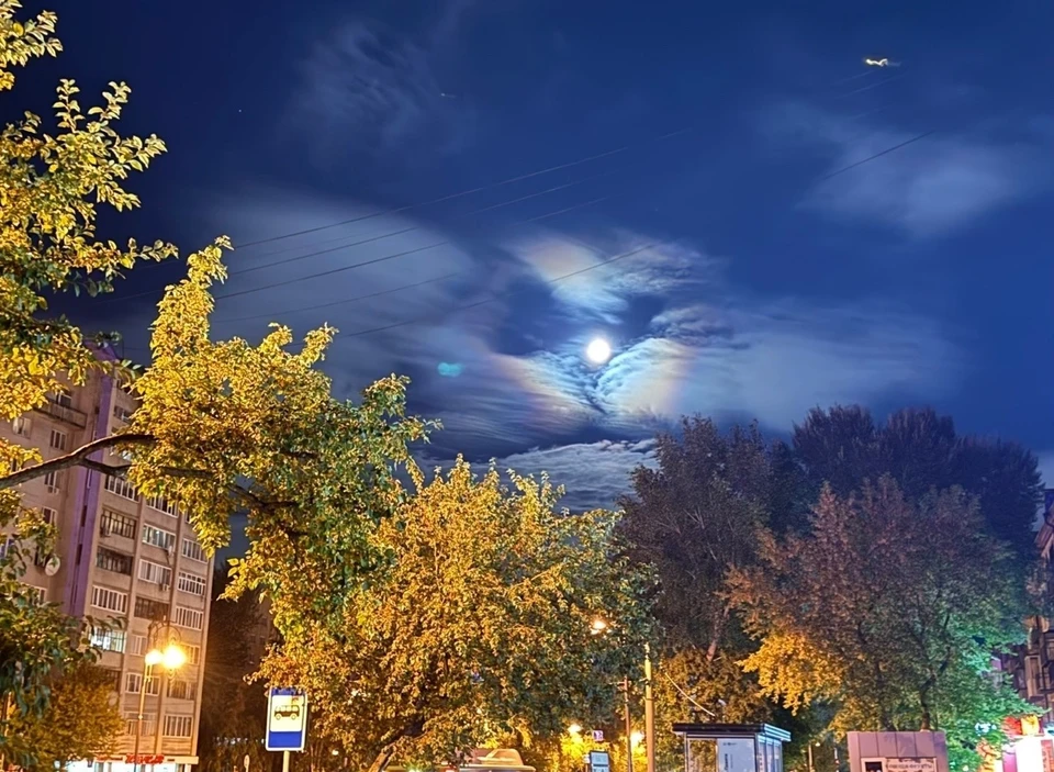 Фото: Виталия Галимуллина.