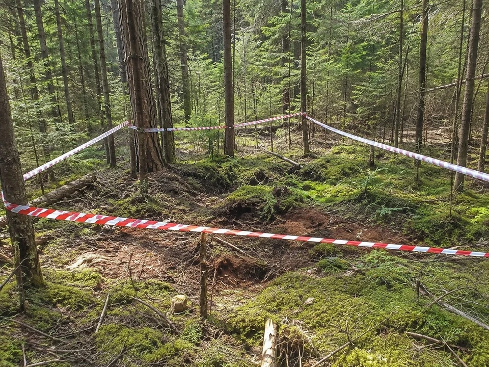 Фото сгенерировано нейросетью