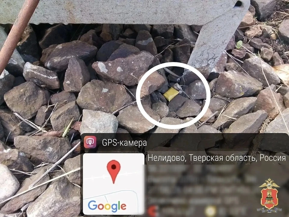 Оперативники наркоконтроля изъяли запрещенные вещества и ликвидировали тайники-закладки. Фото: МВД Тверской области.
