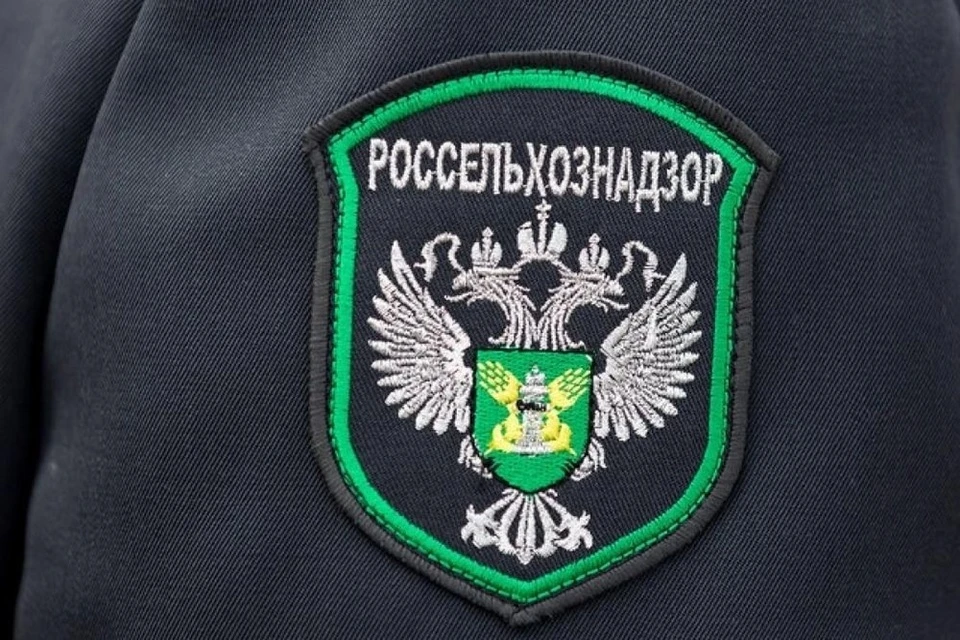 Специалисты оценили состояние земель сельскохозяйственного назначения. Фото: Управление Россельхознадзора по Тверской и Ярославской областям.