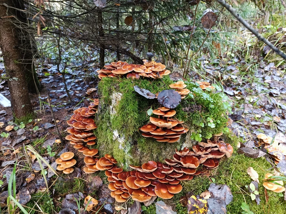 Фото из архива КП