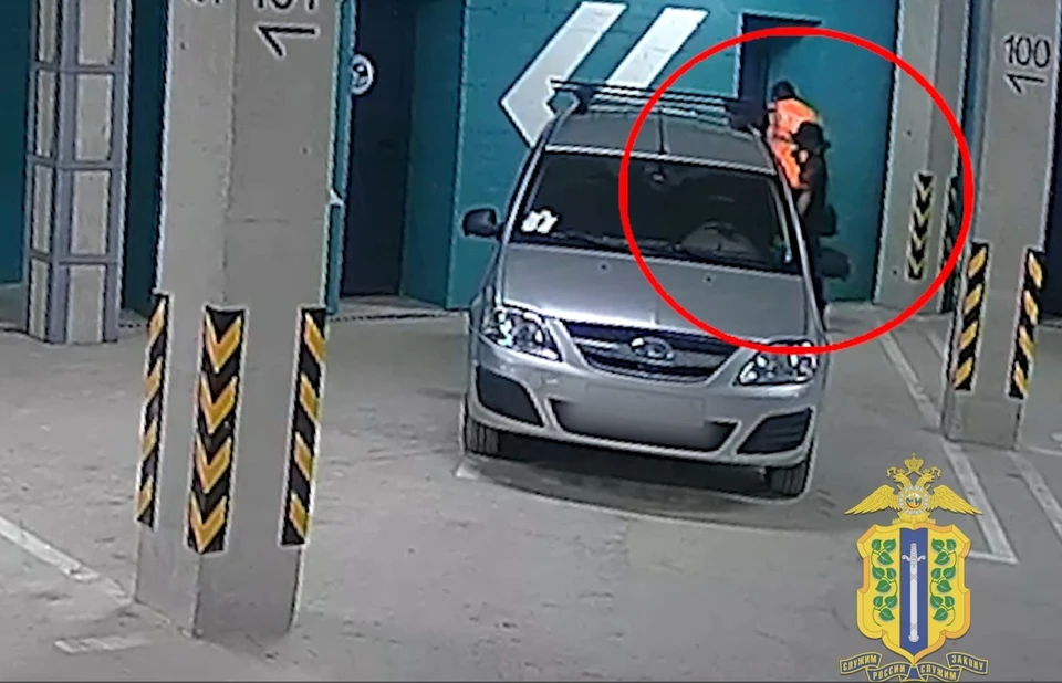 Добычей злоумышленников стали шуруповерт, лазерный уровень и три пристрелочных пистолета. Скриншот видео УМВД России по Липецкой области.