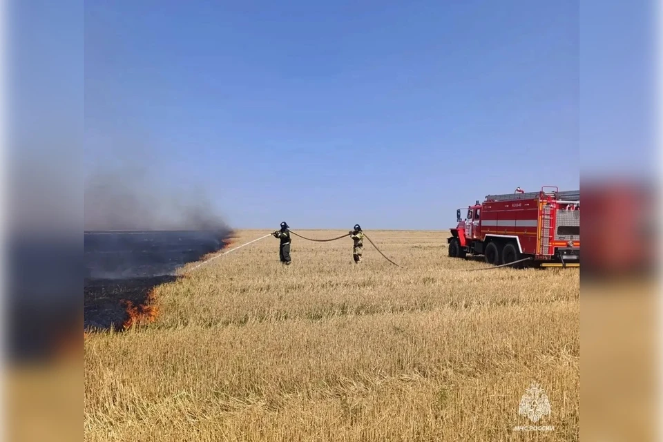 140 пожаров потушили в регионе за неделю. Фото: ГУ МЧС России по Запорожской области