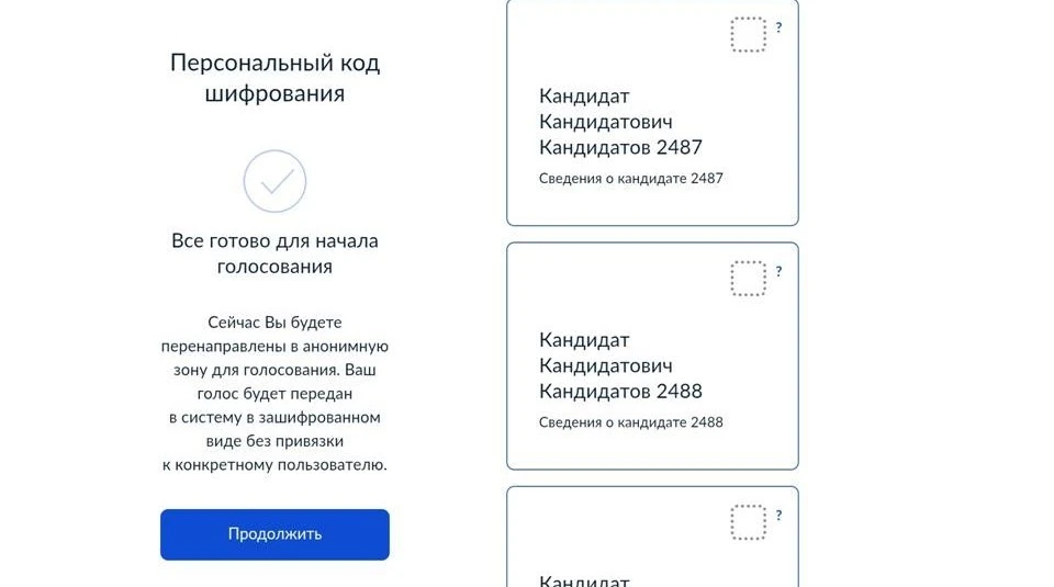 Белгородцы могут протестировать систему дистанционного электронного голосования