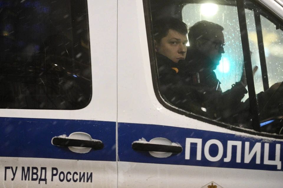 Мать отбила 7-летнего ребенка от тащивших его в машину неизвестных в Ессентуках
