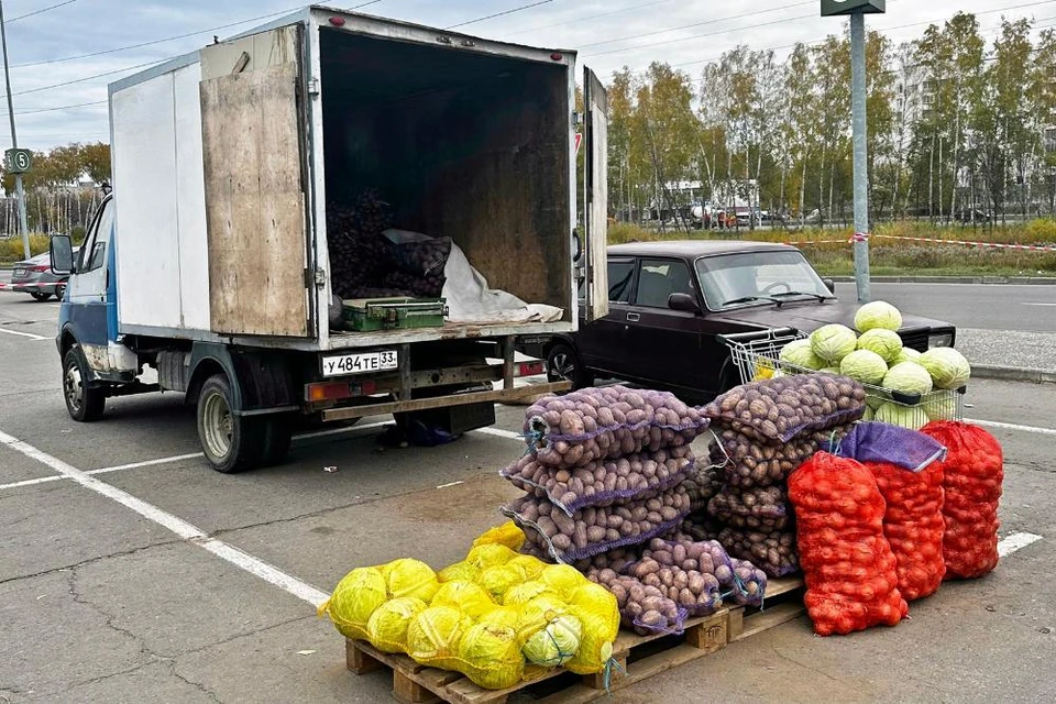 фото с сайта Правительства Владимирской области