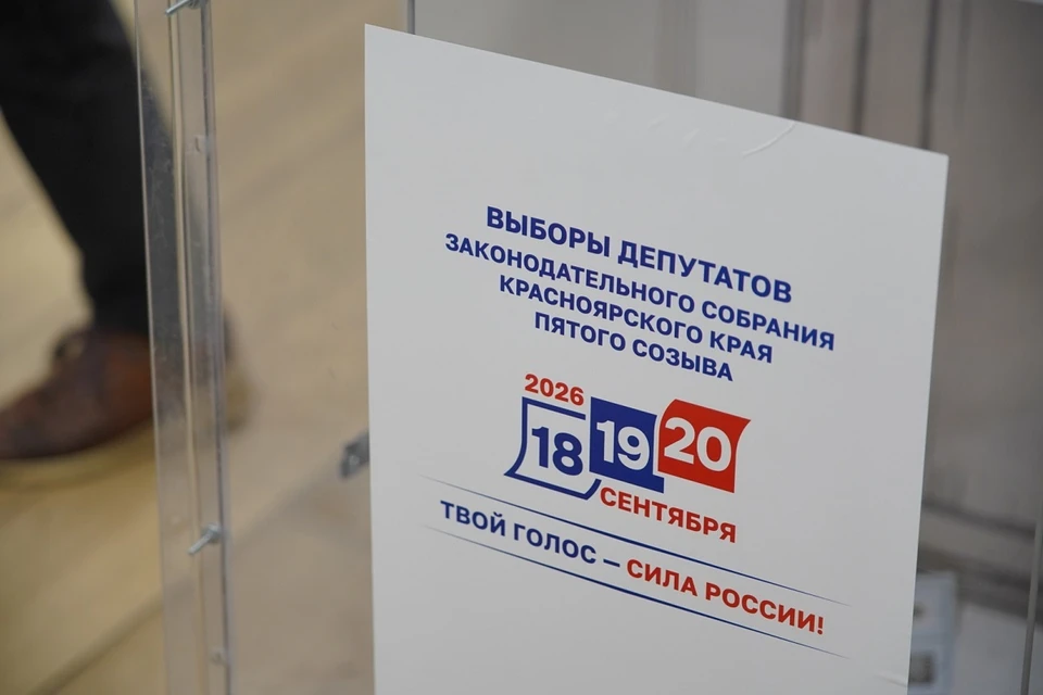 Явка на выборах в крае к 15:00 составляет 15,4 %