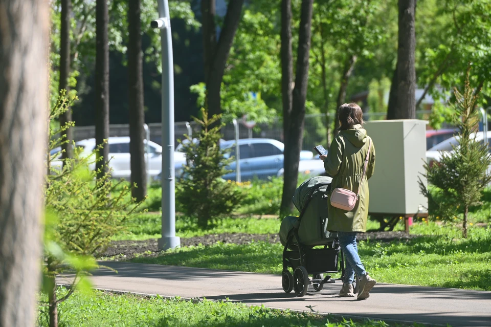 На Ставрополье более 14 тысяч выходных получили родители детей с инвалидностью