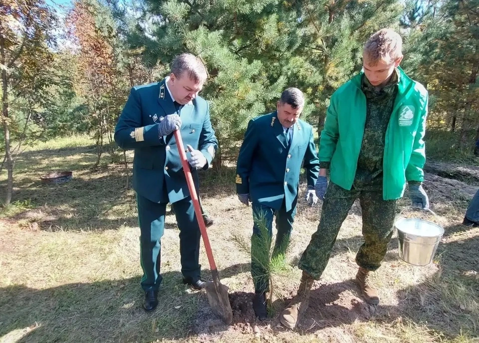 фото Министерства лесного хозяйства Владимирской области