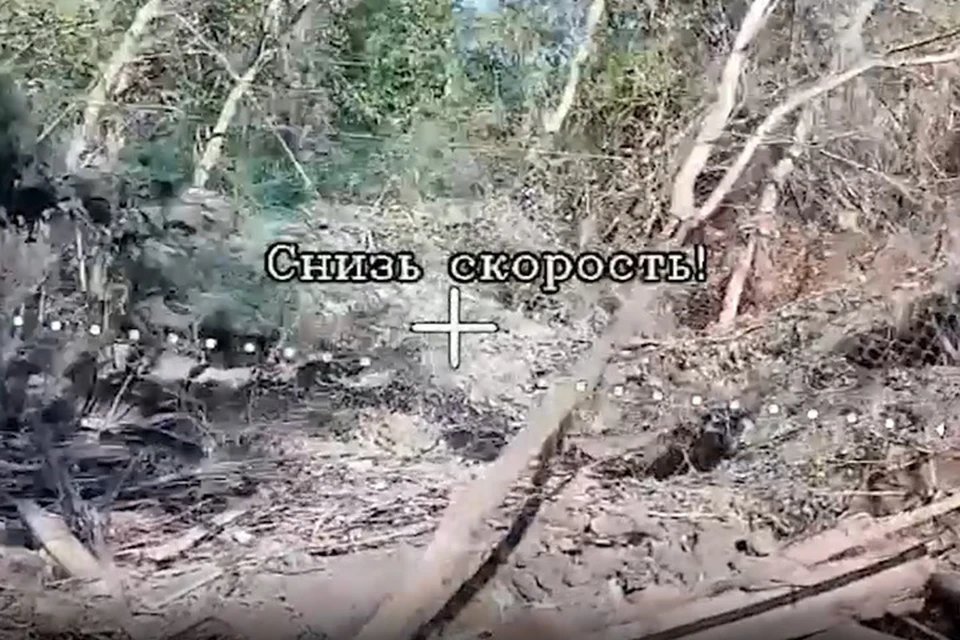 ВС РФ уничтожили артсистему Д-30 ВСУ у Дружковки в ДНР